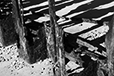 What Remains 42